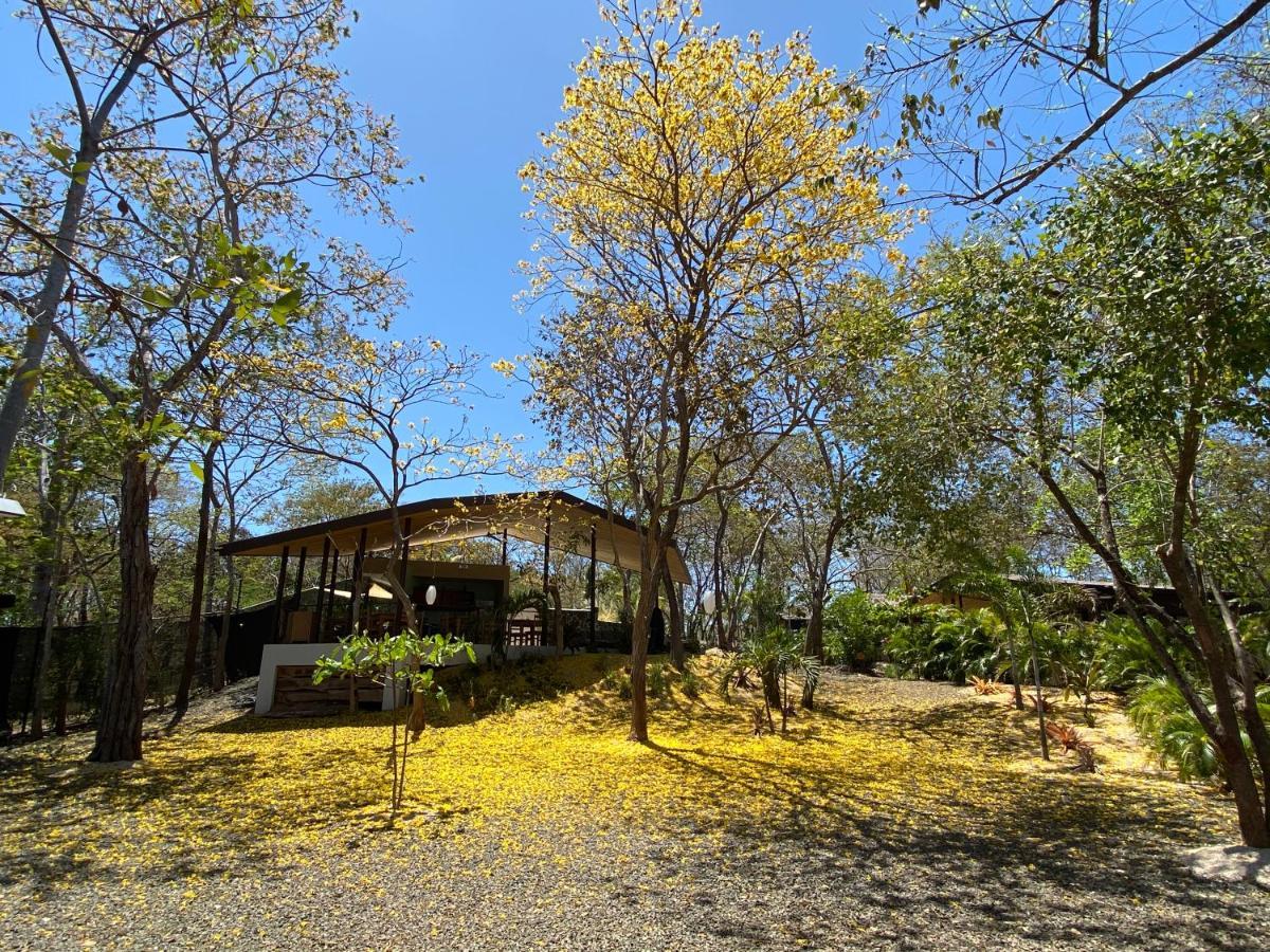 Villas Kalei Playa Grande Eksteriør billede